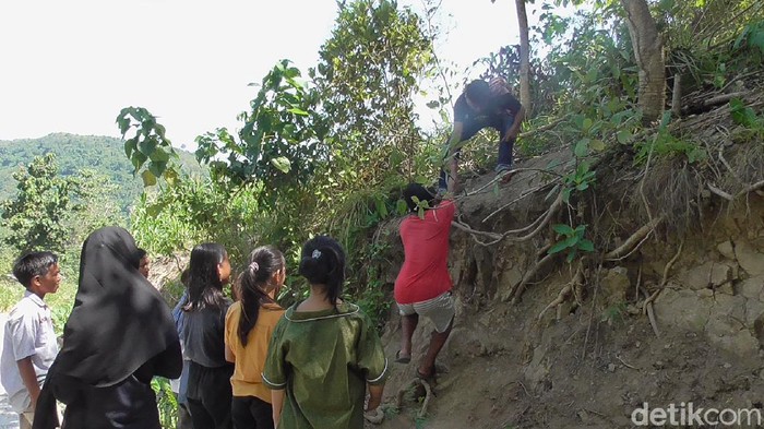 Siswa di Polman, Sulbar ke puncak bukit untuk belajar (Abdy-detikcom).