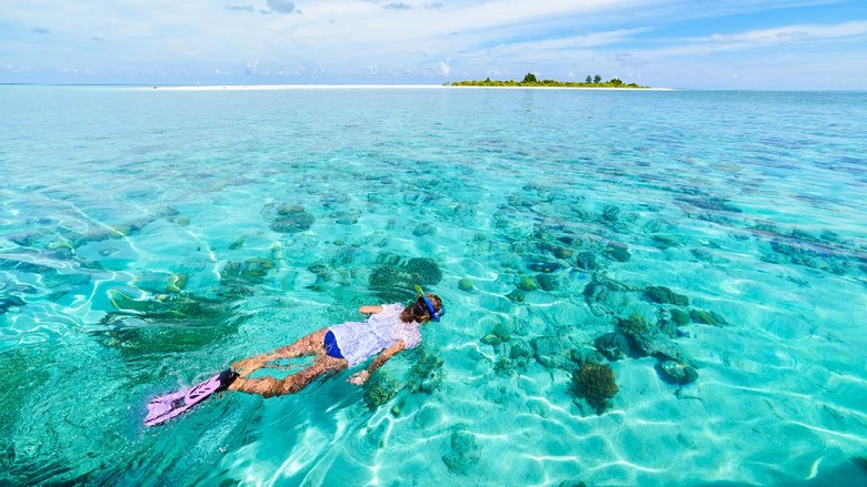 Wakatobi Pede Buka Wisata Selam, Ini 10 Aturan di New Normal