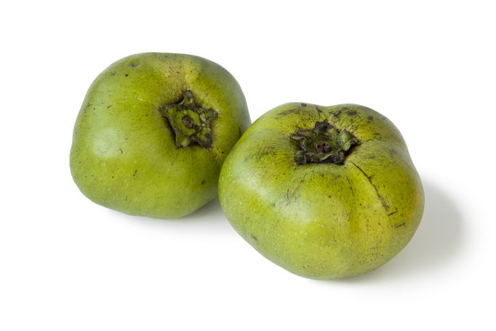 Fakta Buah Black Sapote yang Rasanya Mirip Puding Cokelat