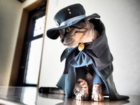 fotoinet kucing gemas anime