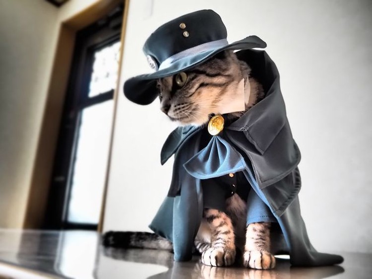 fotoinet kucing gemas anime