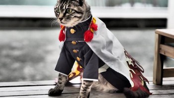 Dilansir detikINET dari Boredpanda, kostumnya ini didesain dan dibuat sendiri. Foto: Twitter/YagyouNEKO