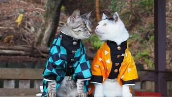 Cosplay bergaya Demon Slayer: Kimetsu no Yaiba. Saat ini akun twitternya sudah diikuti lebih dari 16 ribu followers. Foto: Twitter/YagyouNEKO