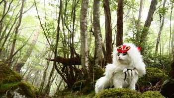 Seorang pria asal Jepang membuat akun Twitter @YagyouNEKO khusus yang didedikasikan untuk kucing dengan berpakaian cosplaynya. Foto: Twitter/YagyouNEKO