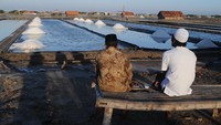 Dalam beberapa pekan terakhir harga garam di Madura naik dari Rp 250 000 per ton menjadi Rp 300.000 hingga Rp 400.000 per ton.