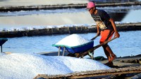 Petani memanen garam, di Desa Bunder, Pamekasan, Jawa Timur, Senin (31/8/2020).