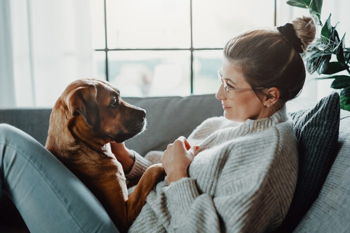 Woman cuddles, plays with her dog at home because of the corona virus pandemic covid-19