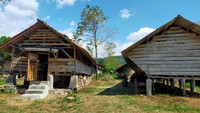 Desa Wisata Cibuntu memiliki jumlah domba yang lebih banyak dari penduduk. Untuk melihat domba, travelers bisa mengunjungi kampung domba. (Tasya Khairally/detikcom)