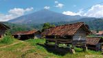 Potret Desa Wisata yang Memiliki 1.000 Domba