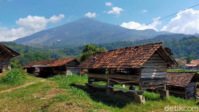 Kampung Domba Desa Wisata Cibuntu