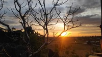 Saat senja, pemnadangan sunset dari balik hamparan sawah yang luas membuat pengunjung takjub. (Moehammad Bakrie/detikcom)
