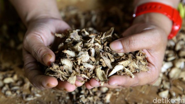 Begini Proses Pembuatan Jamu Kemasan Made in Tangerang