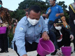 Kunjungi Pulau Maratua, Edhy Prabowo Lepas Tukik & Tanam Mangrove