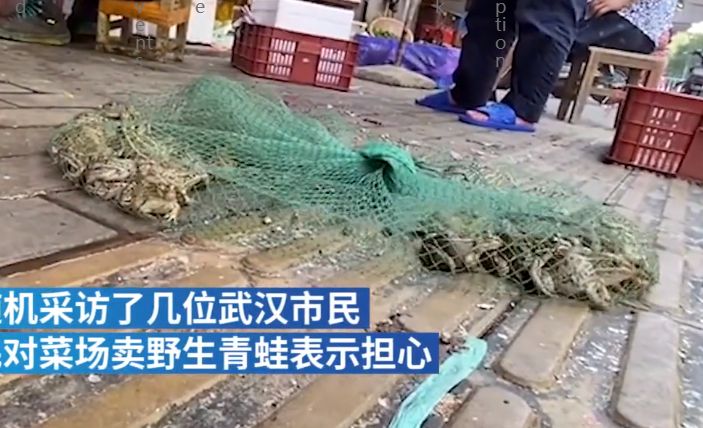 Pasar di Wuhan Jual Daging Hewan Liar