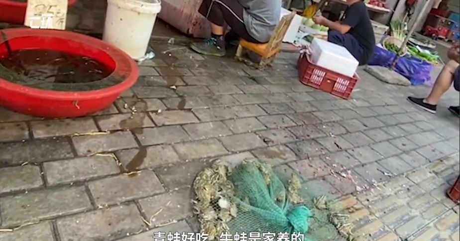 Duh 2 Pasar  di  Wuhan Kembali Lagi Menjual Daging Hewan  Liar