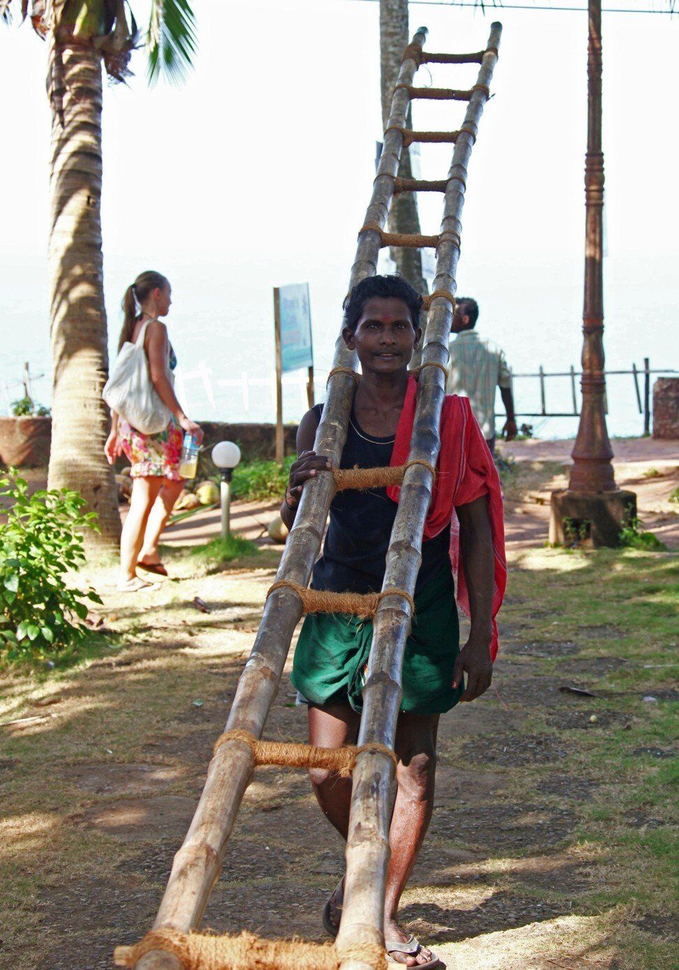 Pemetik kelapa