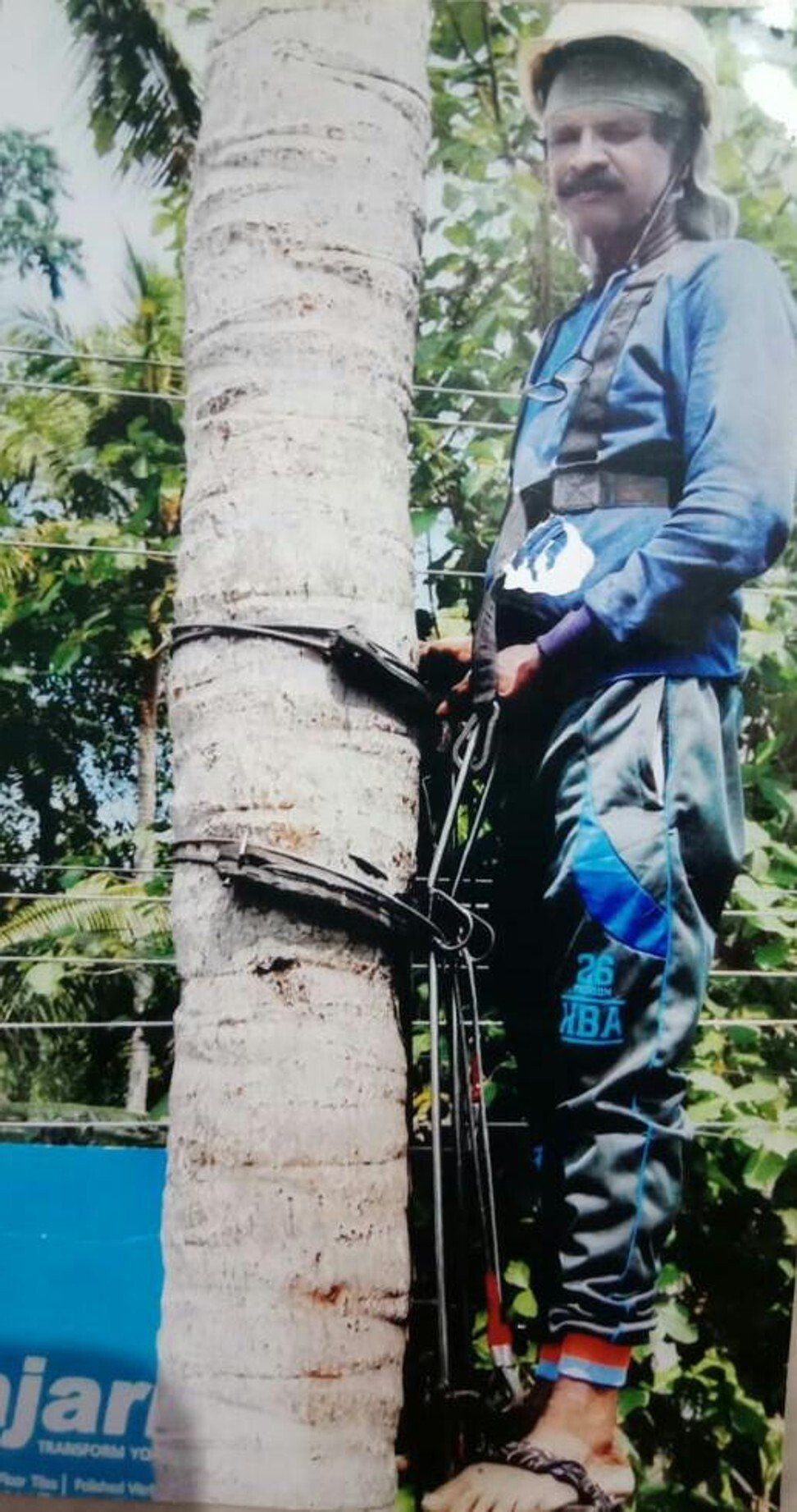 Pemetik kelapa