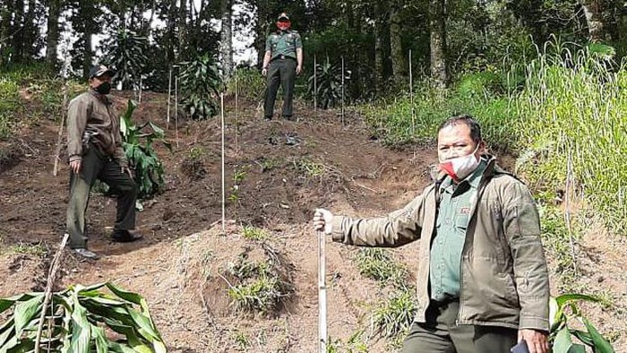 Perhutani larang Jip masuk hutan