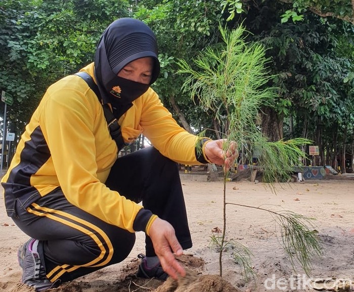 Polwan Polresta Banyuwangi Tanam Cemara di Pulau Merah