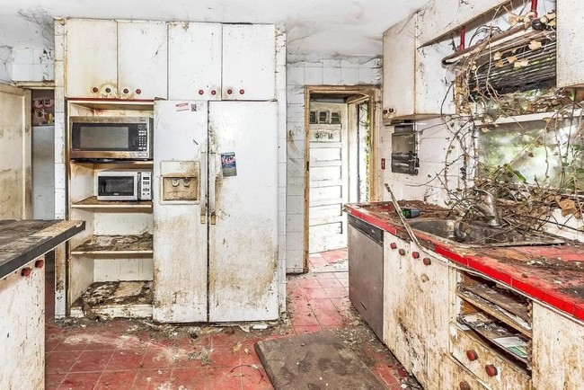 Kamu bisa melihat beberapa bagian langit-langit rumah yang sudah rusak dan tumbuhan yang mulai merambat masuk ke dalam rumah. Foto: Facebook / PG Real Estate and Foreclosures