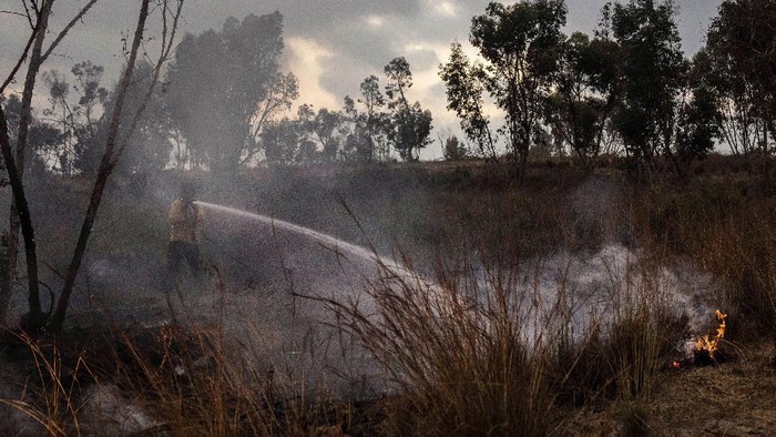 An Israeli firefighter attempts to extinguish a fire caused by an incendiary balloon on the Israeli side of the border between Israel and Gaza Strip, Sunday, Aug. 30, 2020. (AP Photo/Tsafrir Abayov)