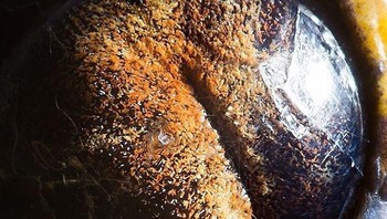 Ini mata python. Foto: Suren Manvelyan via Boredpanda