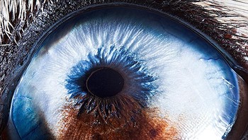 Jika ingin melihat karya Suren yang lain bisa mengunjungi situs resminya di sini atau akses akun Instagramnya di sini. Foto: Suren Manvelyan via Boredpanda