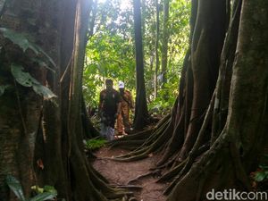 3 Hutan di Ciamis Ini Kental Cerita Mistis yang Menyeramkan
