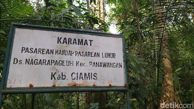 Hutan Angker di Ciamis