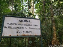 Budaya Pamali Jadi Benteng Penyelamat Alam Ciamis