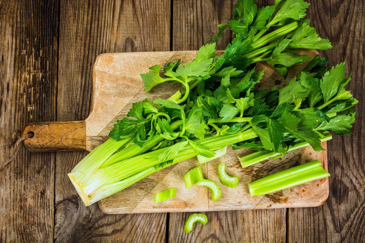 Bunch of fresh celery stalk with leaves. Studio Photo