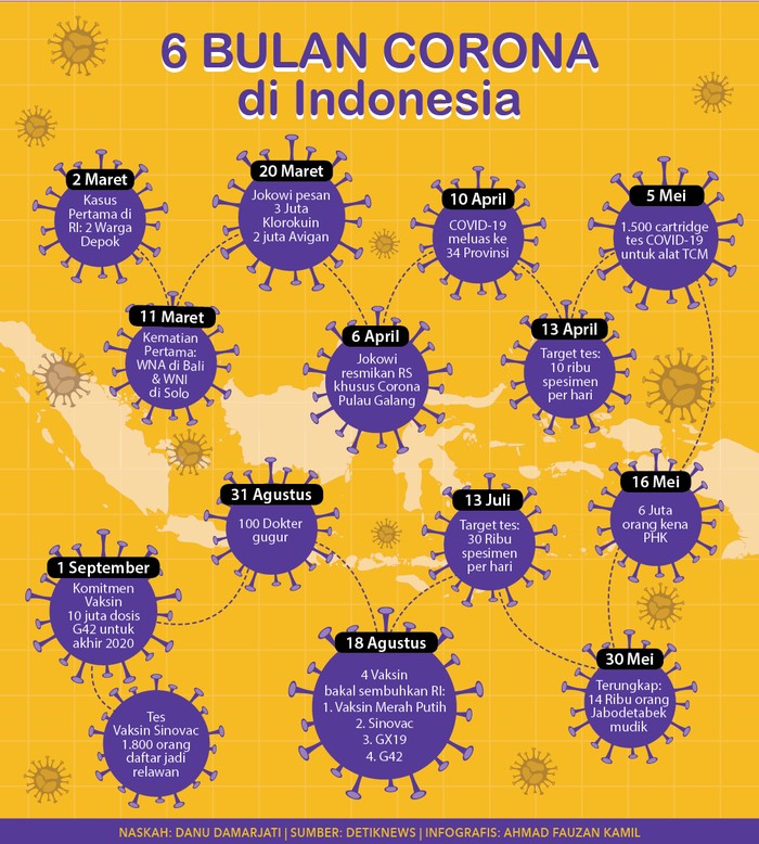 Infografis: 6 Bulan Corona di Indonesia (Ahmad Fauzan Kamil/detikcom)