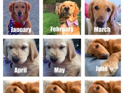 Aneka Meme Frustasinya Situasi Tahun 2020, Huft...