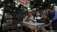 Sensus Penduduk tahun 2020 tahap pendataan lapangan yang diselenggarakan di tengah pandemi COVID-19 membuat para petugas menerapkan protokol kesehatan guna mencegah penyebaran virus Corona.