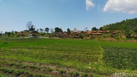 Desa Wisata Cibuntu memiliki panorama alam yang masih sangat terjaga keasriannya. Di pelosok desa, ada mata air layak minum yang selalu dikonsumsi warga.