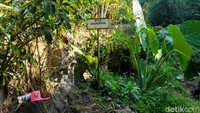 Situs mata air Cikahuripan telah menjadi sumber air minum yang dikonsumsi masyarakat. Bahkan 100 persen warga mengambil air di sini.