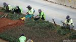 Taman Jalur Hijau di Jalan Sudirman Ditanami Tanaman Hias