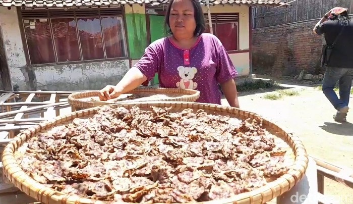 Tike, Camilan Kemarau dari Umbi Rumput Rawa Liar