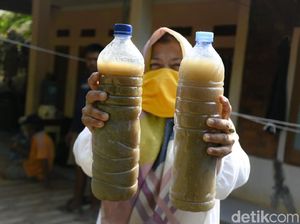 Limbah Semen Proyek Kereta Cepat Cemari 182 Hektare Sawah di Bandung Barat