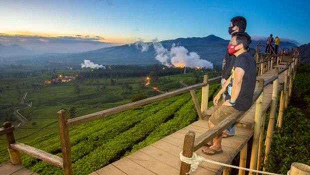 Kebun teh di Pangalengan.