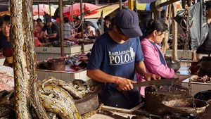 16 Foto Wildlife Photographer of the Year, Ada Pasar Ekstrem Tomohon
