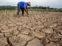 Siap-siap! Kemarau 2026 Diprediksi Lebih Panjang dan Ekstrem