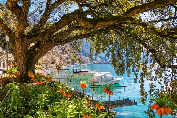 Masih di Eropa, Jenewa di Swiss juga termasuk dalam kota tersehat di dunia. Angka harapan hidup di sana mencapai 82,6 tahun. Foto: (Getty Images/iStockphoto) Masih di Eropa, Jenewa di Swiss juga termasuk dalam kota tersehat di dunia. Angka harapan hidup di sana mencapai 82,6 tahun. Foto: (Getty Images/iStockphoto)