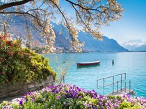 2 Kota di Swiss 5 Besar Kota Layak Huni, Warga: Kuncinya Pengelolaan Pemkot