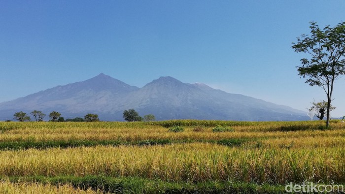 Gunung Arjuno-Welirang