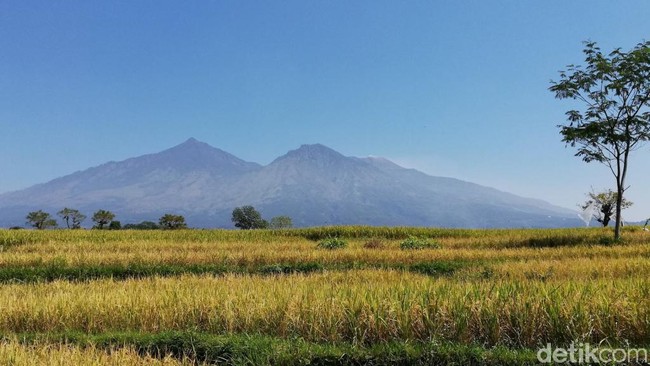 Sederet Tantangan Mendaki Gunung Arjuno