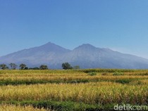 7 Gunung Paling Angker di Jawa Timur, Berani Mendaki?