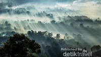 Setelah matahari naik sempurna di gunung Putri, Lembang.