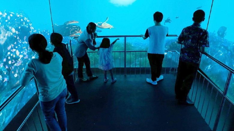 Jakarta Aquarium Ilustrasi.