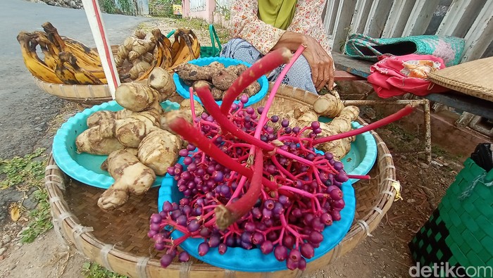 Khasiat Buah Parijoto Bagi Wanita Hamil